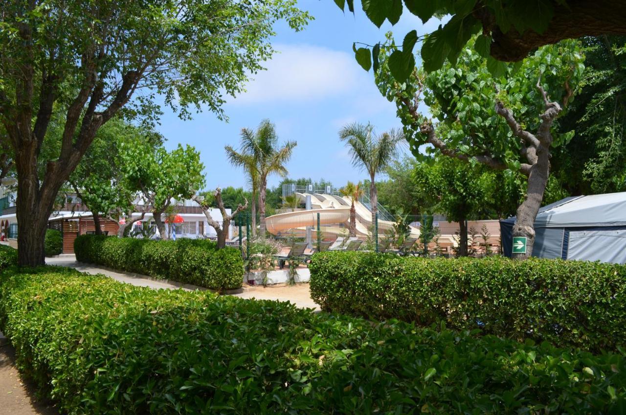 Camping Senia Caballo De Mar Пинеда де Мар Екстериор снимка